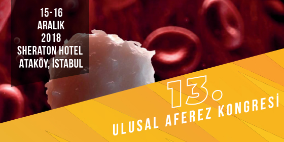 11. Toplantı