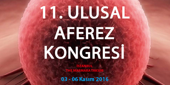 13. Toplantı