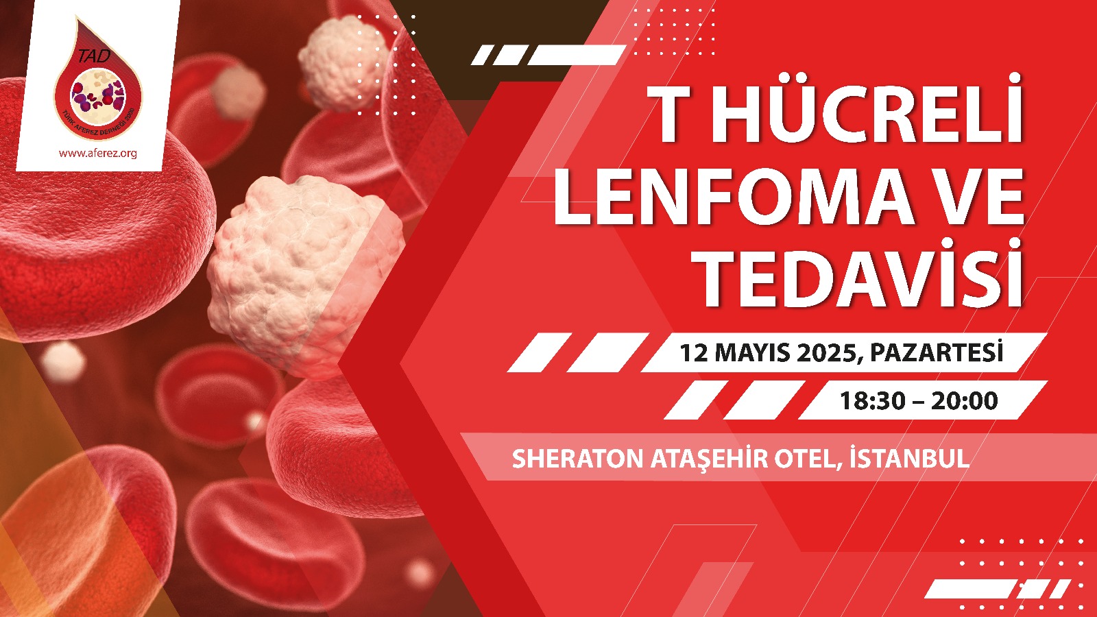 3. Toplantı